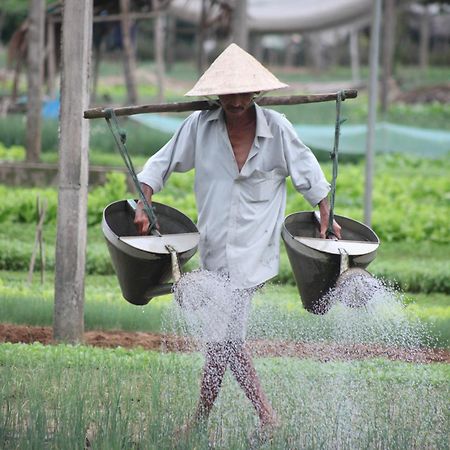 Charming Homestay Hoi An Dış mekan fotoğraf