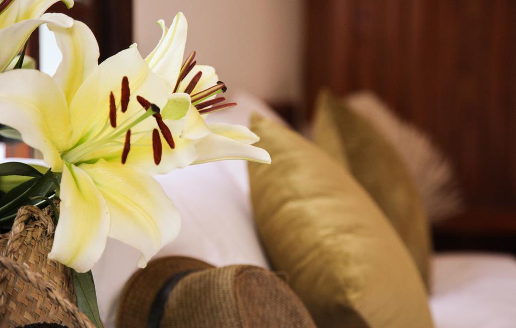 Charming Homestay Hoi An Dış mekan fotoğraf
