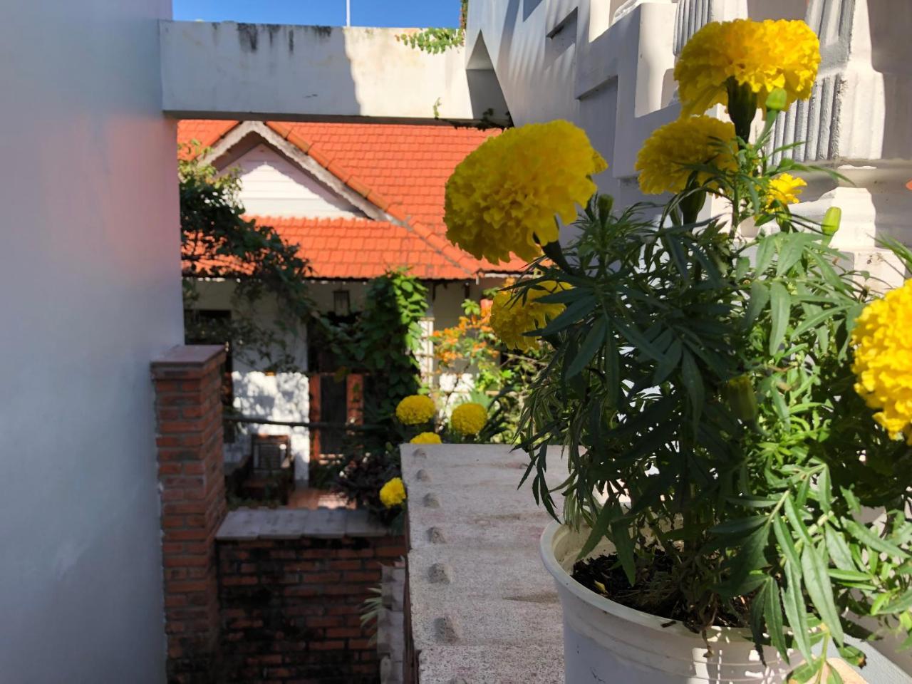 Charming Homestay Hoi An Dış mekan fotoğraf